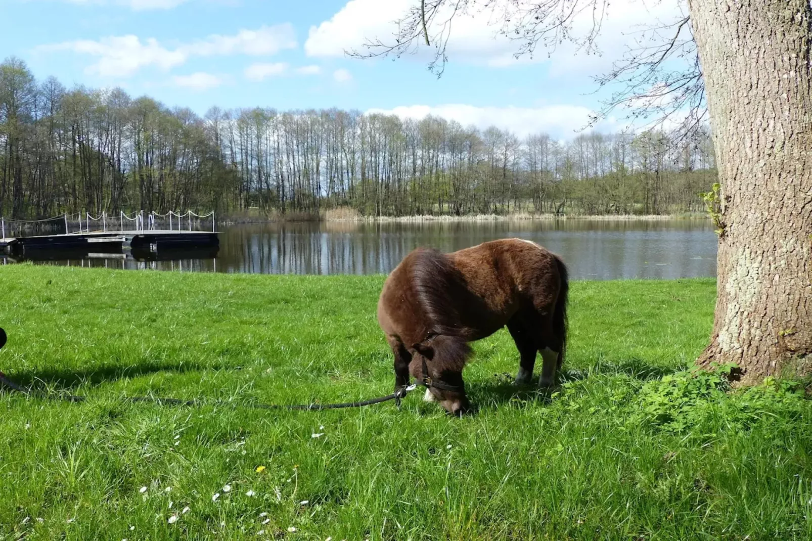Chalet - 3 Personen-Gebieden zomer 1km