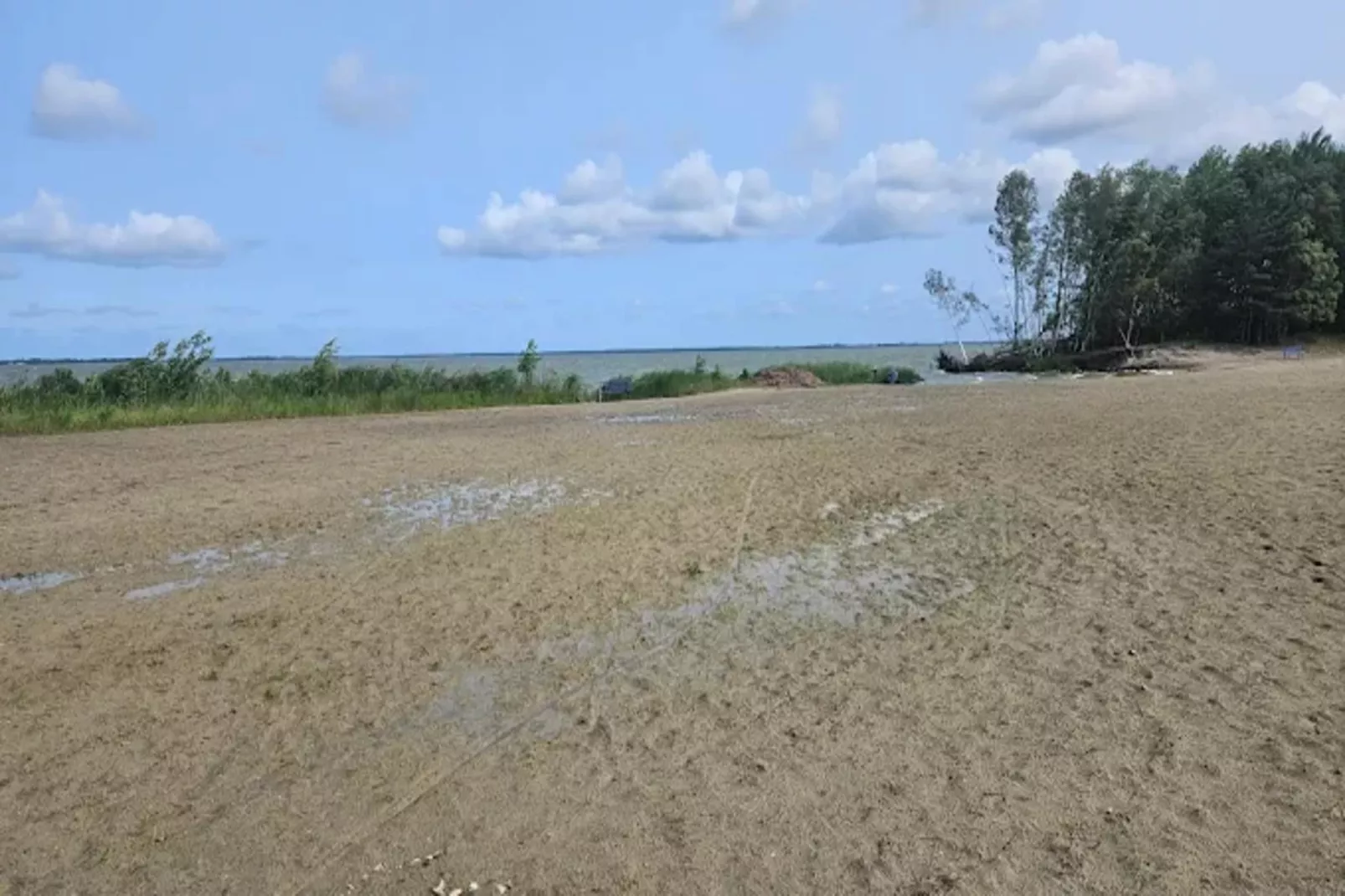 Haubenlerche 14-Gebieden zomer 5km