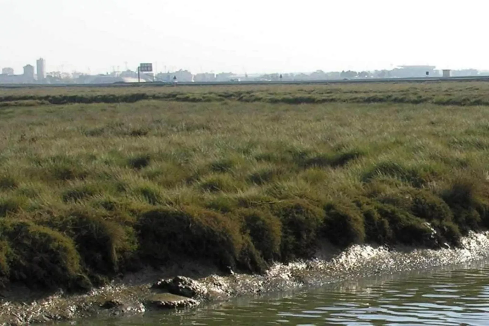 El Soto de Marbella-Gebieden zomer 20km