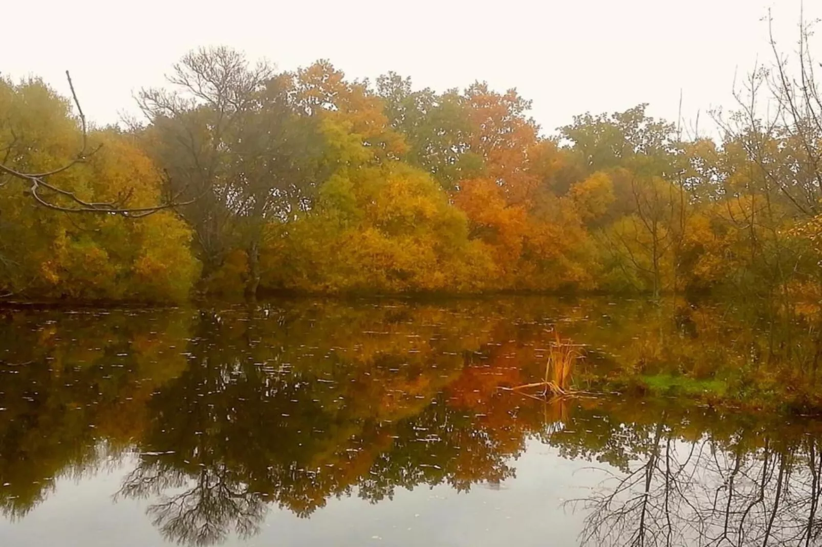 Gran jardín piscina y Spa - Galapagar II-Gebieden zomer 20km