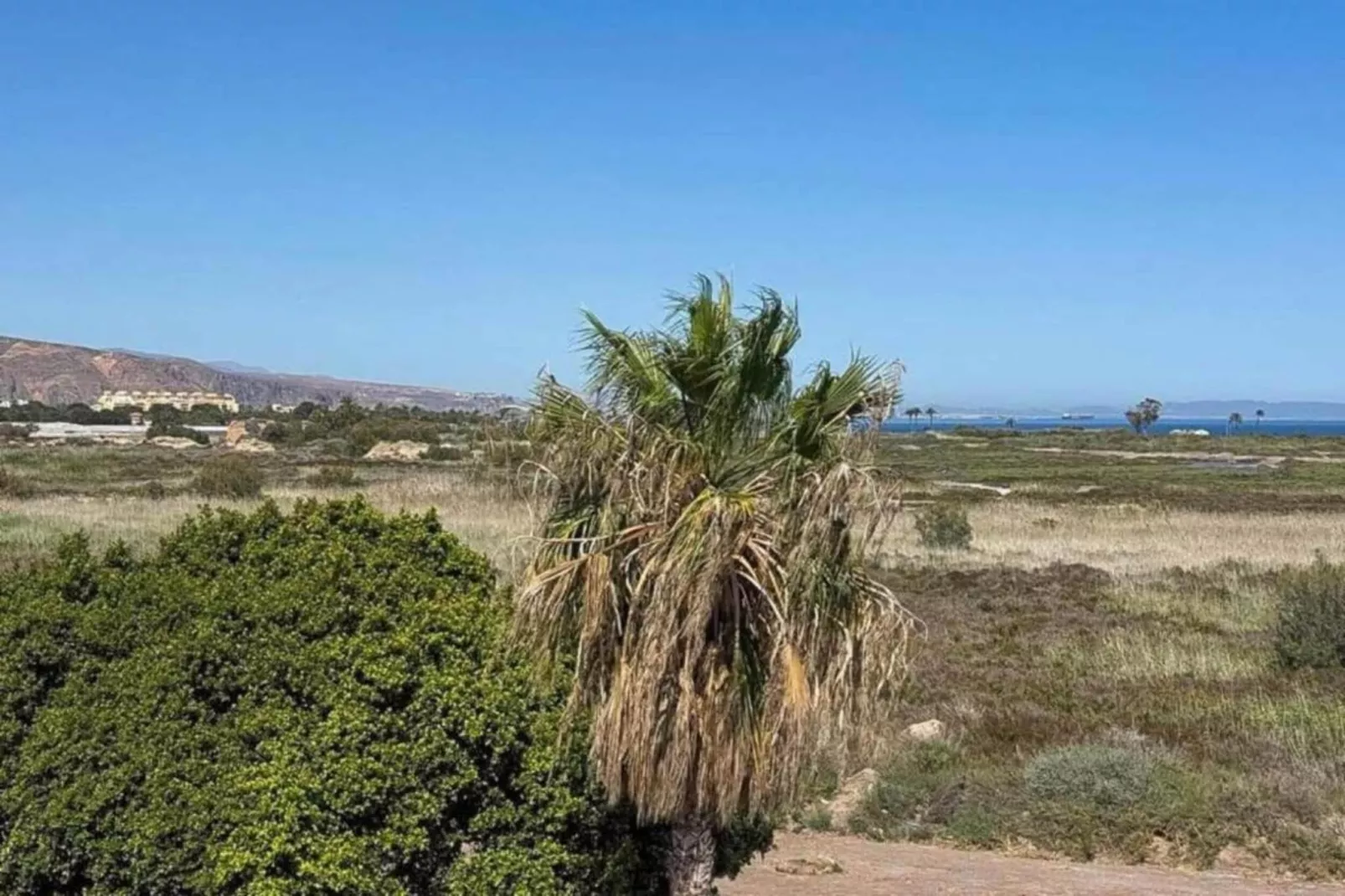 Los Olivos-Gebieden zomer 5km