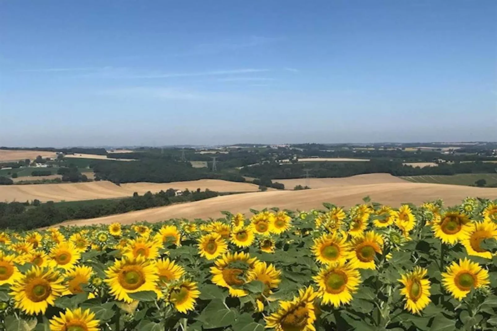 Le Chêne-Liège-Gebieden zomer 20km