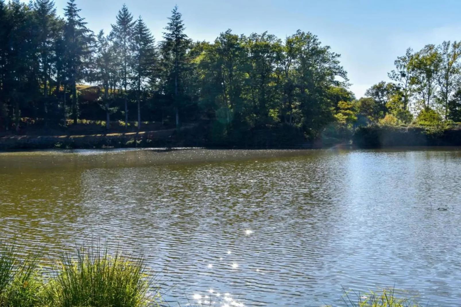 Authentique maison auvergnate-Gebieden zomer 20km