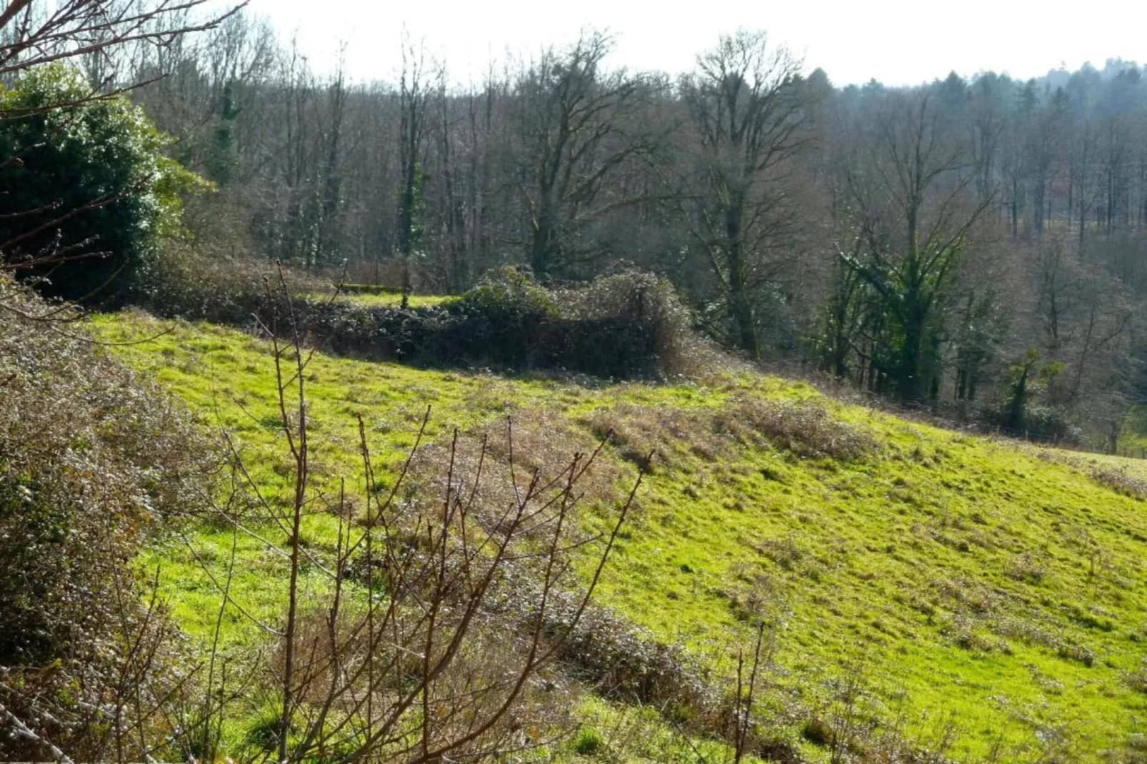 Le Castel-Gebieden zomer 5km