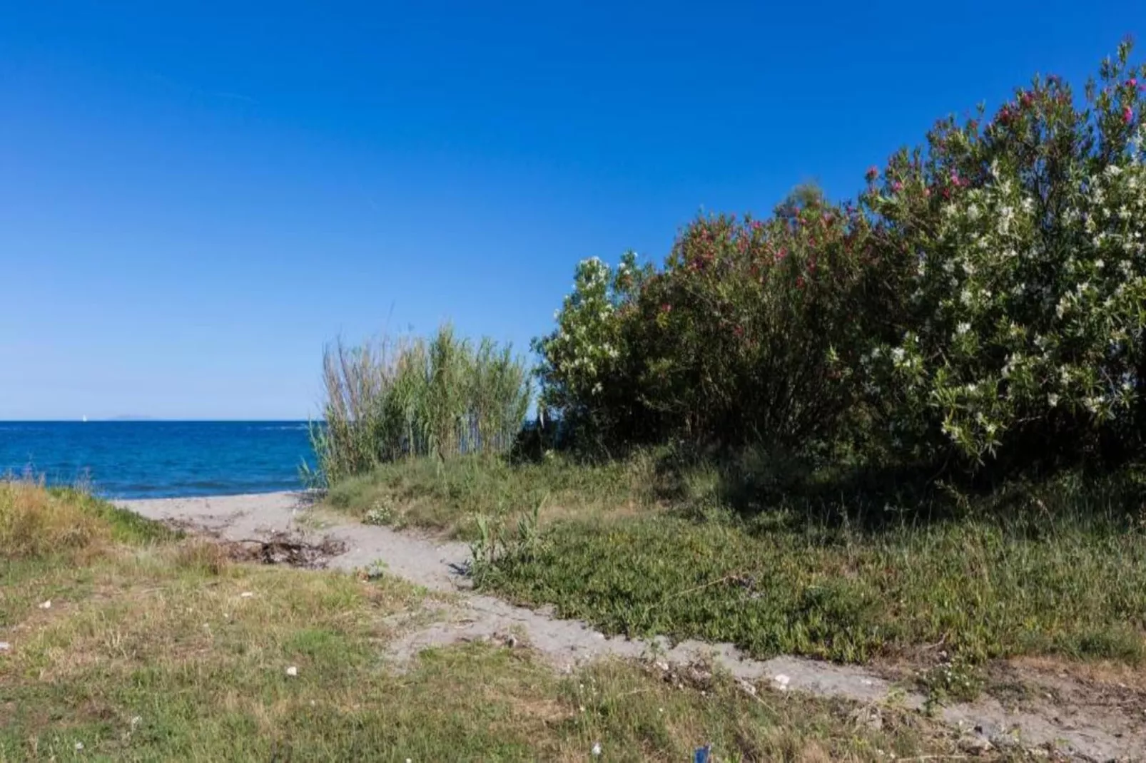 Résidence le Maquis Plage Type 4 85m-Gebieden zomer 20km