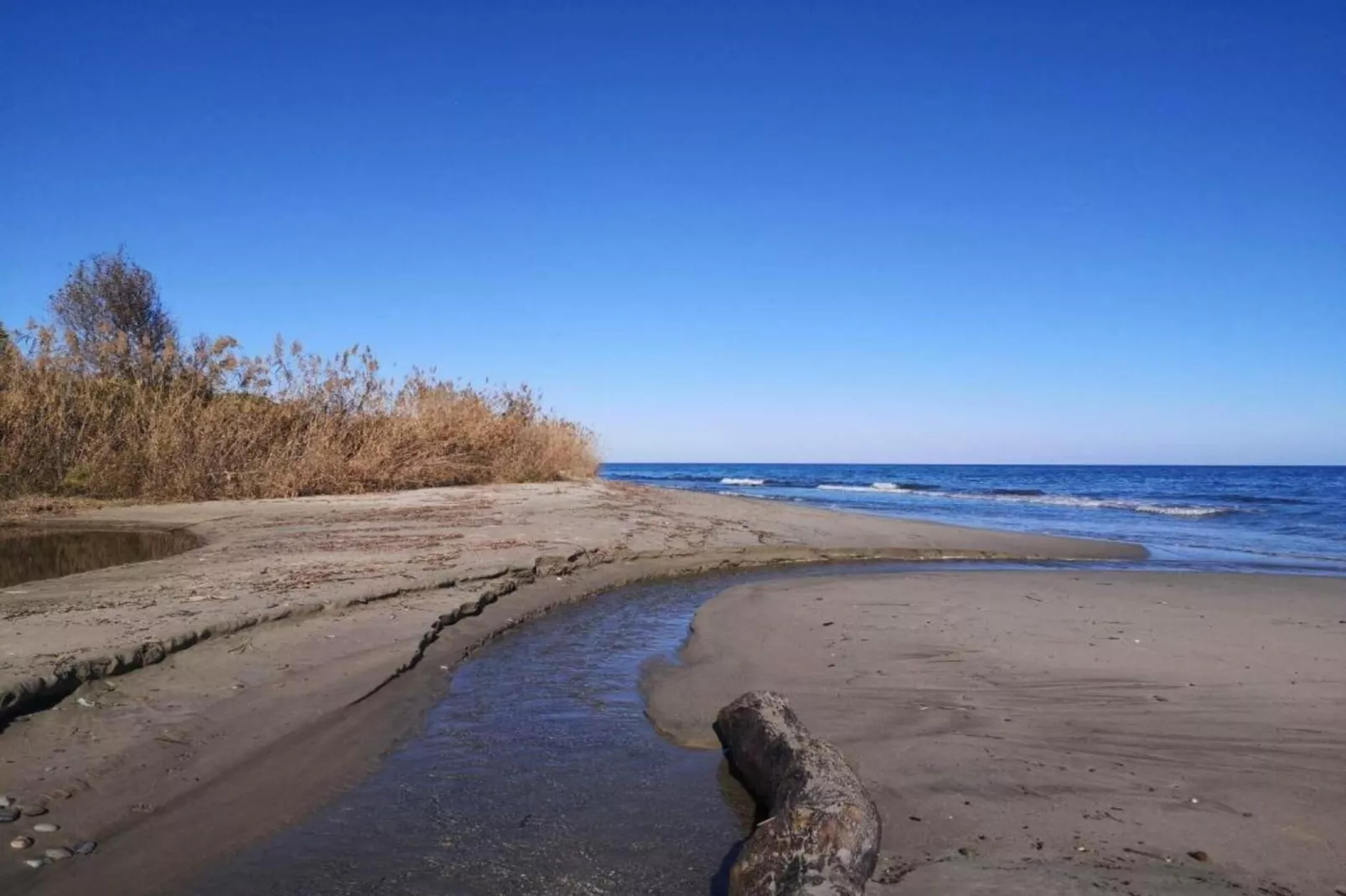 Turquoise-Gebieden zomer 1km