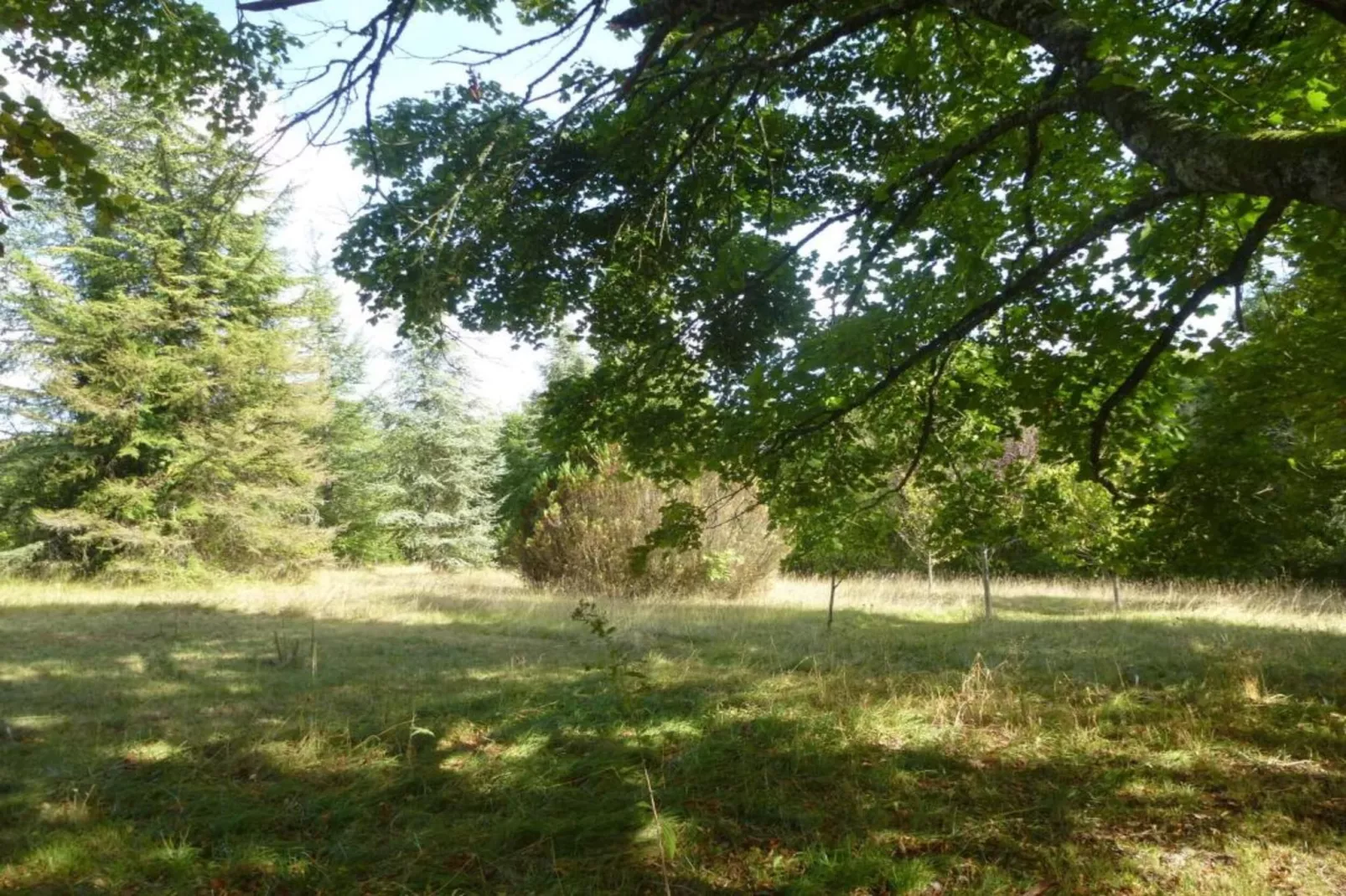 Maison de vacances Lusignac gastverblijf-Gebieden zomer 5km