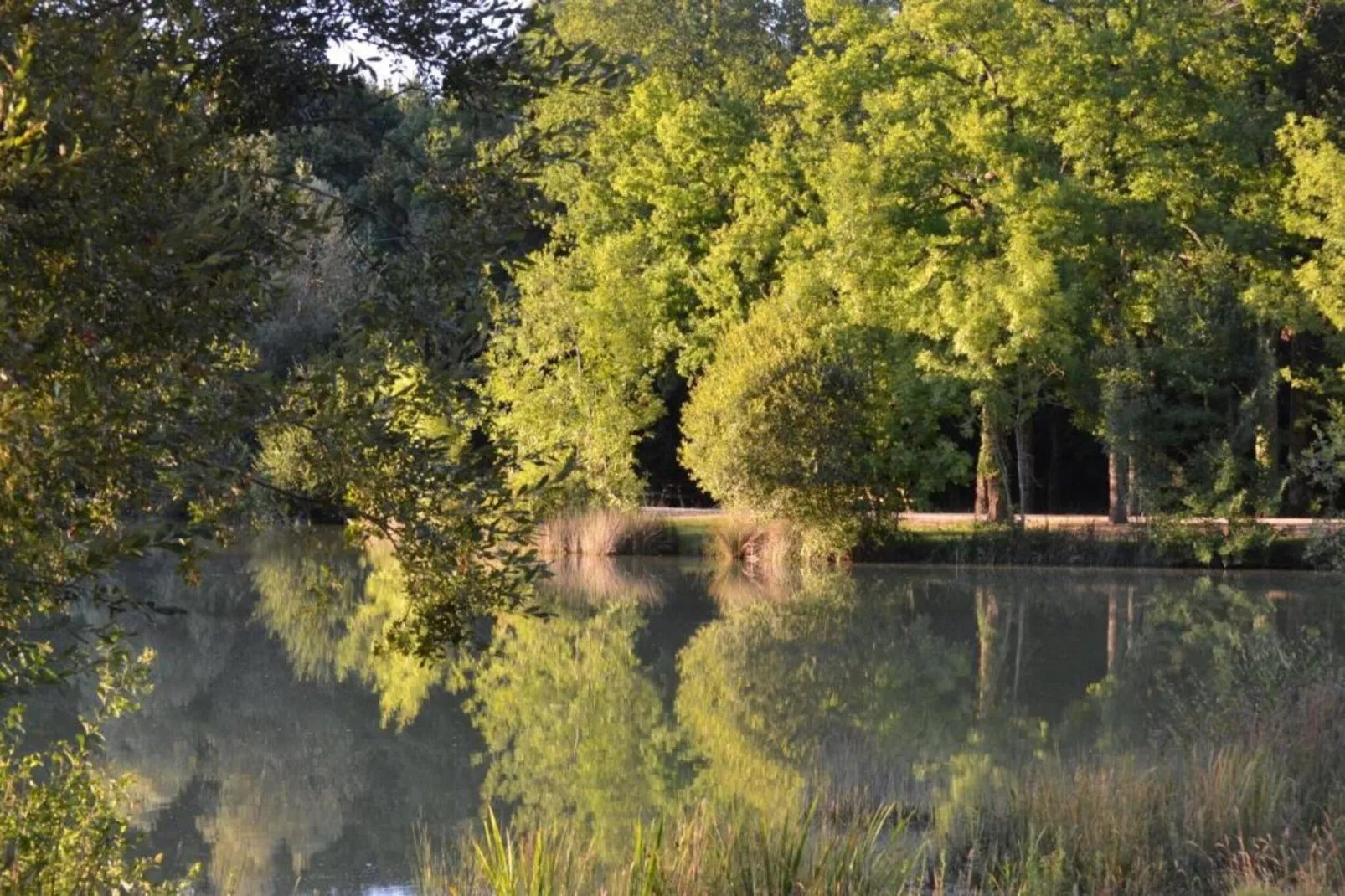 Maison de vacances-Gebieden zomer 20km