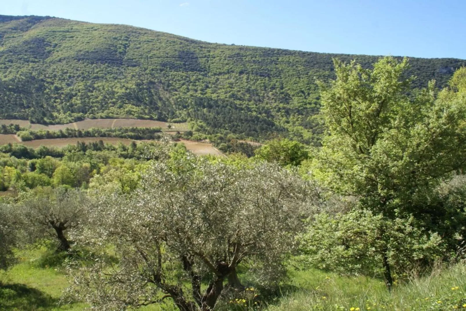 Chateau des Gipières-Gebieden zomer 5km