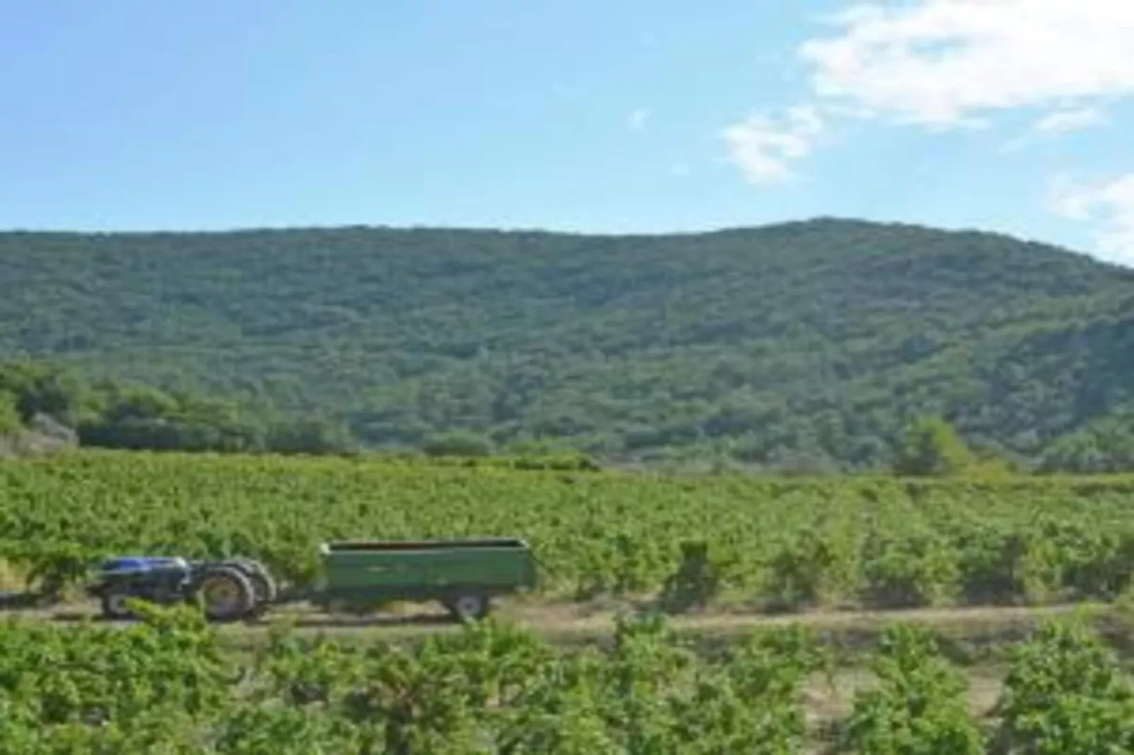 L'Oliveraie-Gebieden zomer 5km