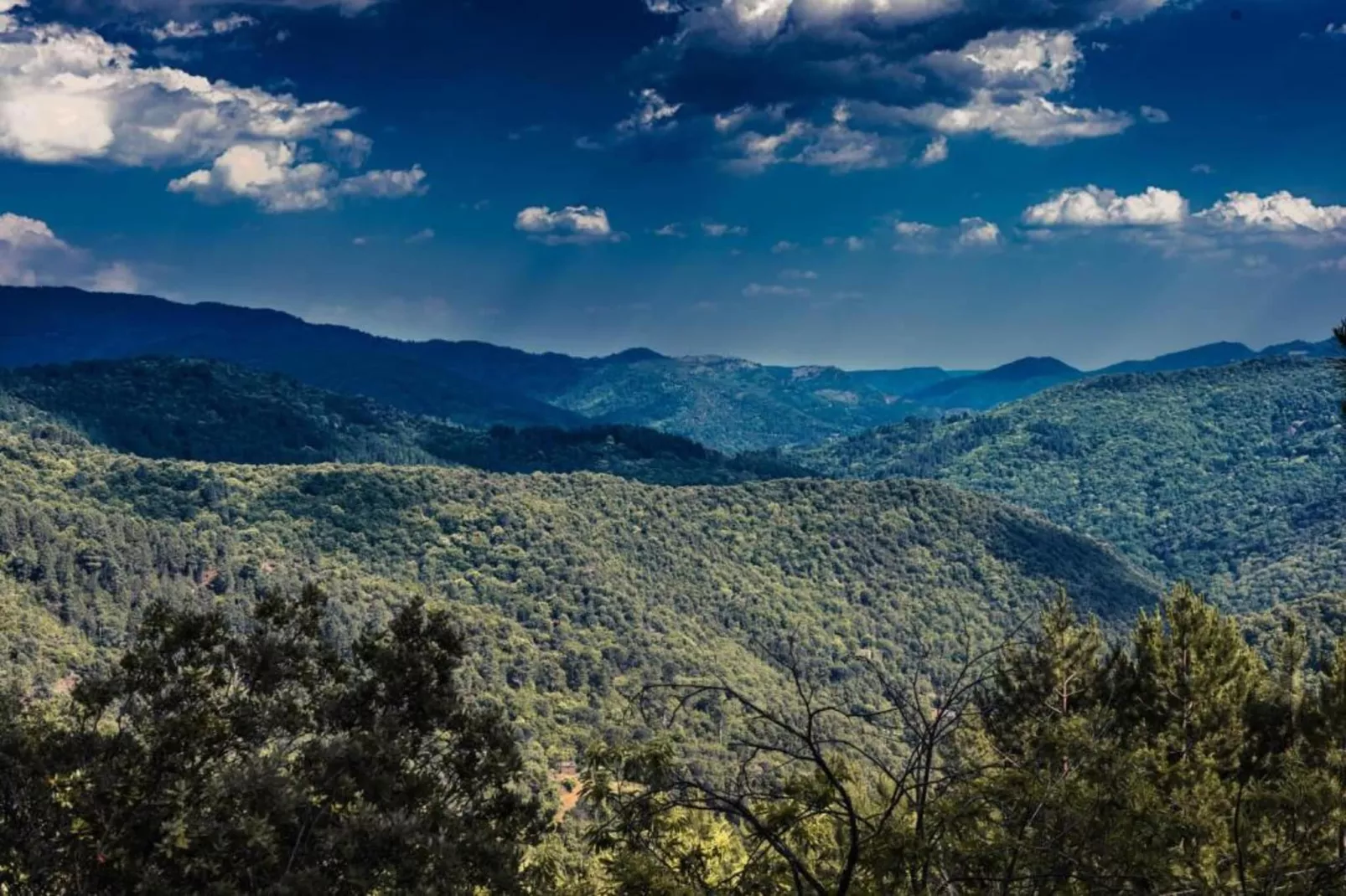 La Stub-Gebieden zomer 5km