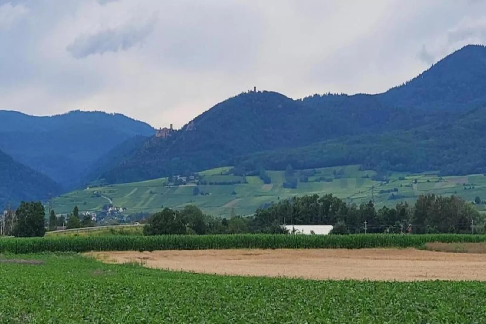 Le Domaine des Rois 1-Gebieden zomer 5km