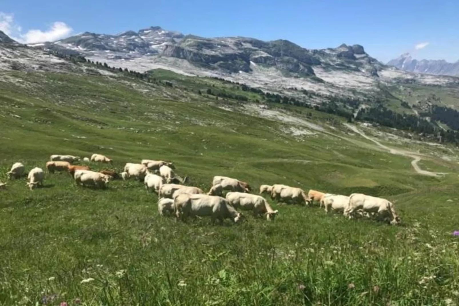 Les Portes du Grand Massif 3-Gebieden zomer 5km
