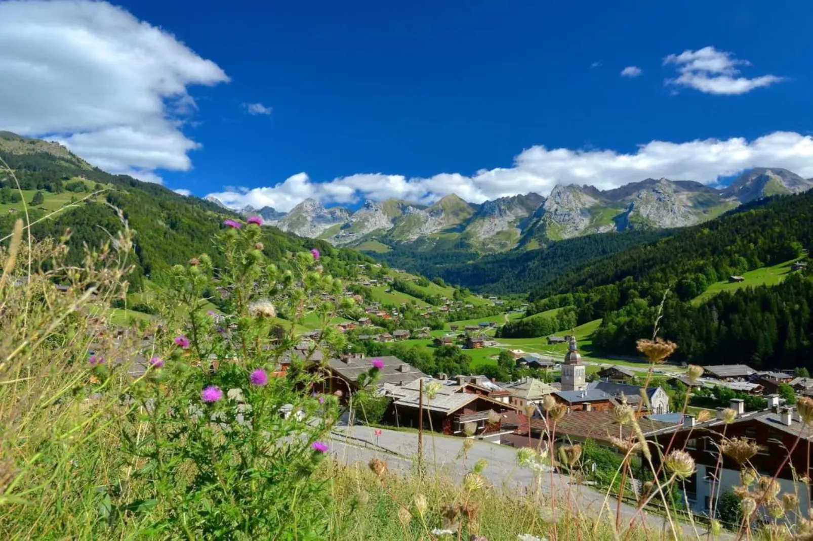 Residence Les Chalets d'Evian 3-Gebieden zomer 20km