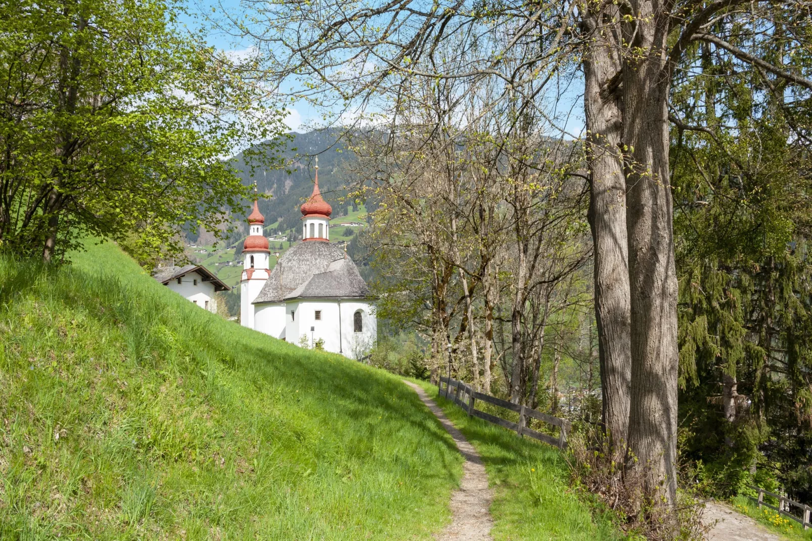 Ahornblick 8PAX-Gebieden zomer 1km