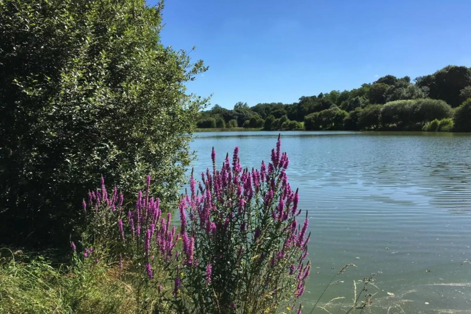 L'Orangerie-Gebieden zomer 20km