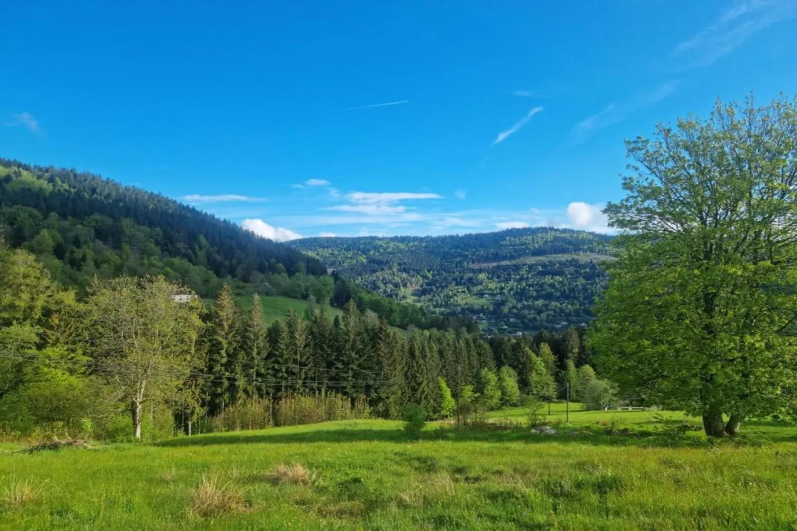 Le Menil-Gebieden zomer 20km