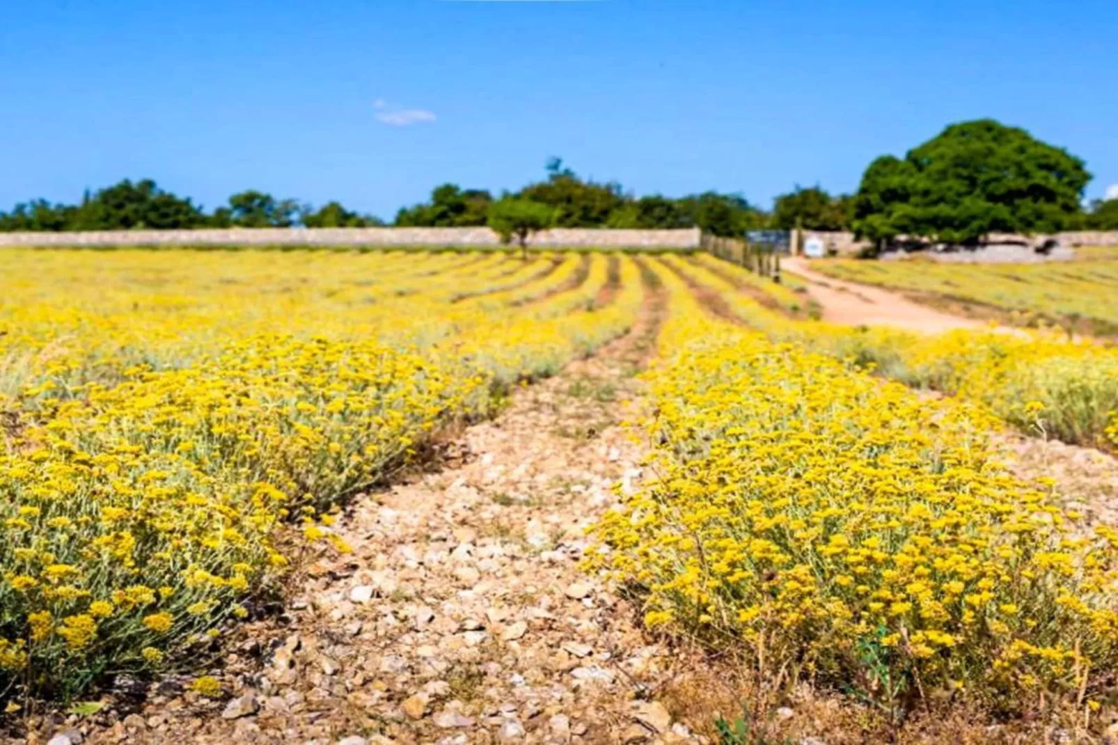 Apartment Darija-Gebieden zomer 5km