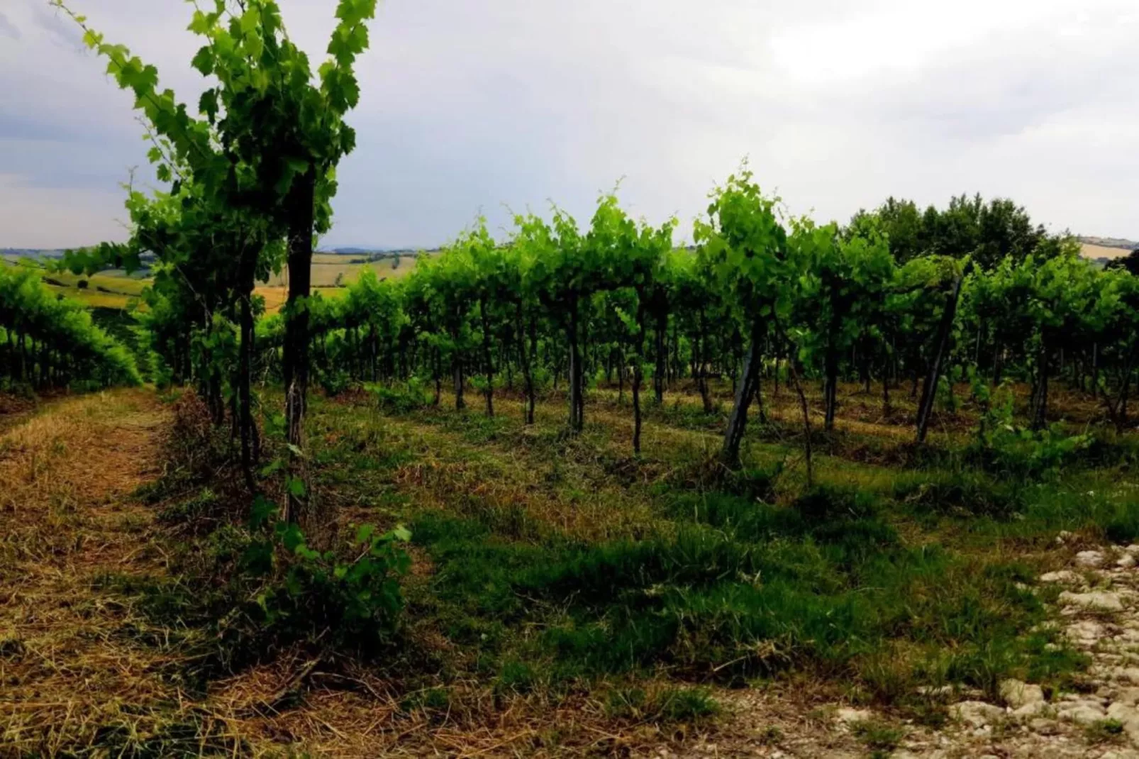 La Cantinaia Botte-Gebieden zomer 20km