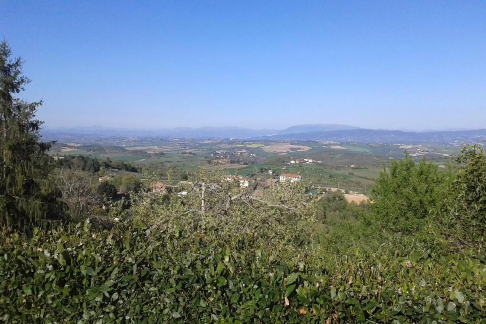 Salvia-Gebieden zomer 5km