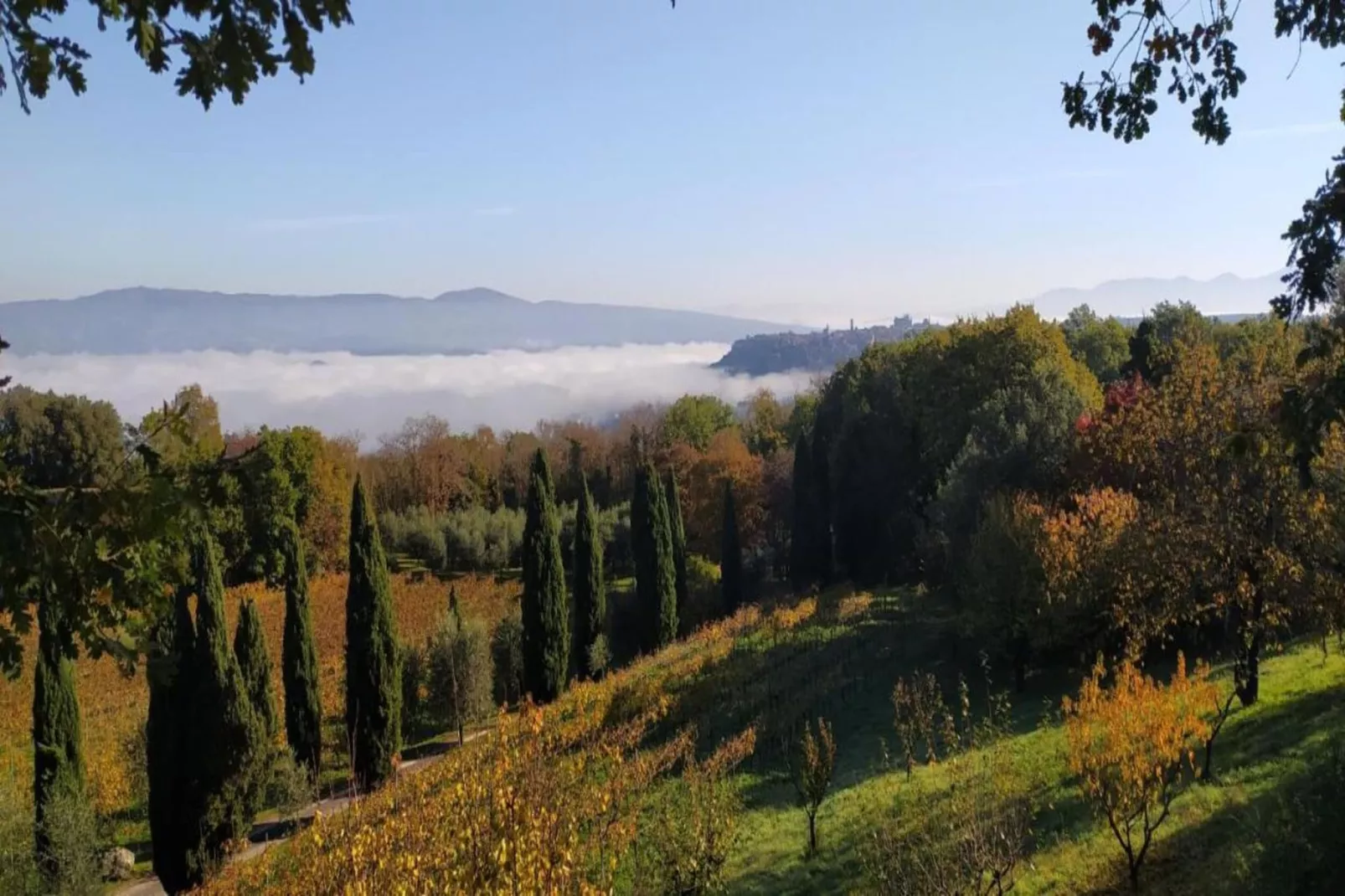 Appartamento 4 persone-Gebieden zomer 20km
