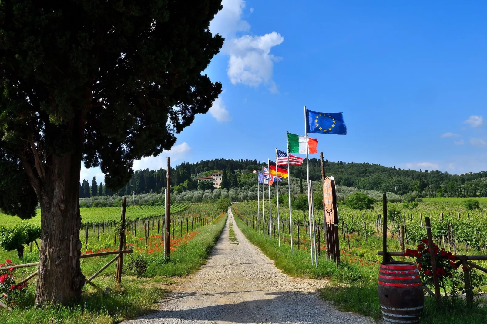 Villa Il Frassine-Uitzicht zomer