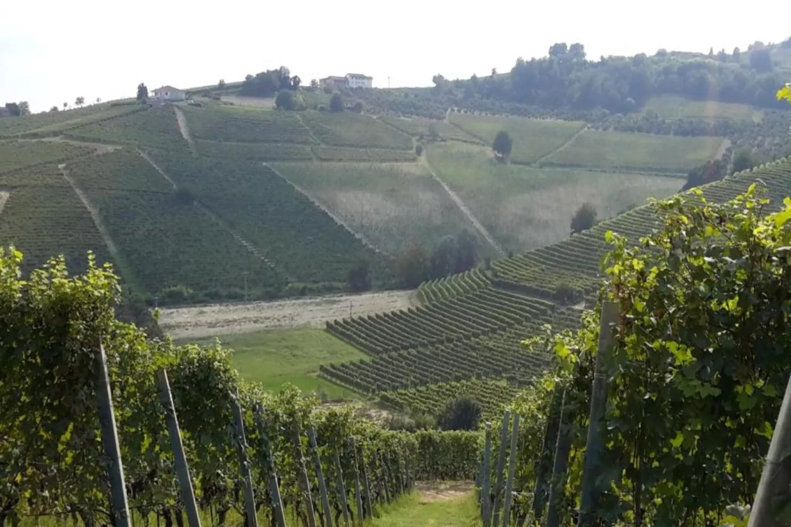 Mondovì-Gebieden zomer 20km