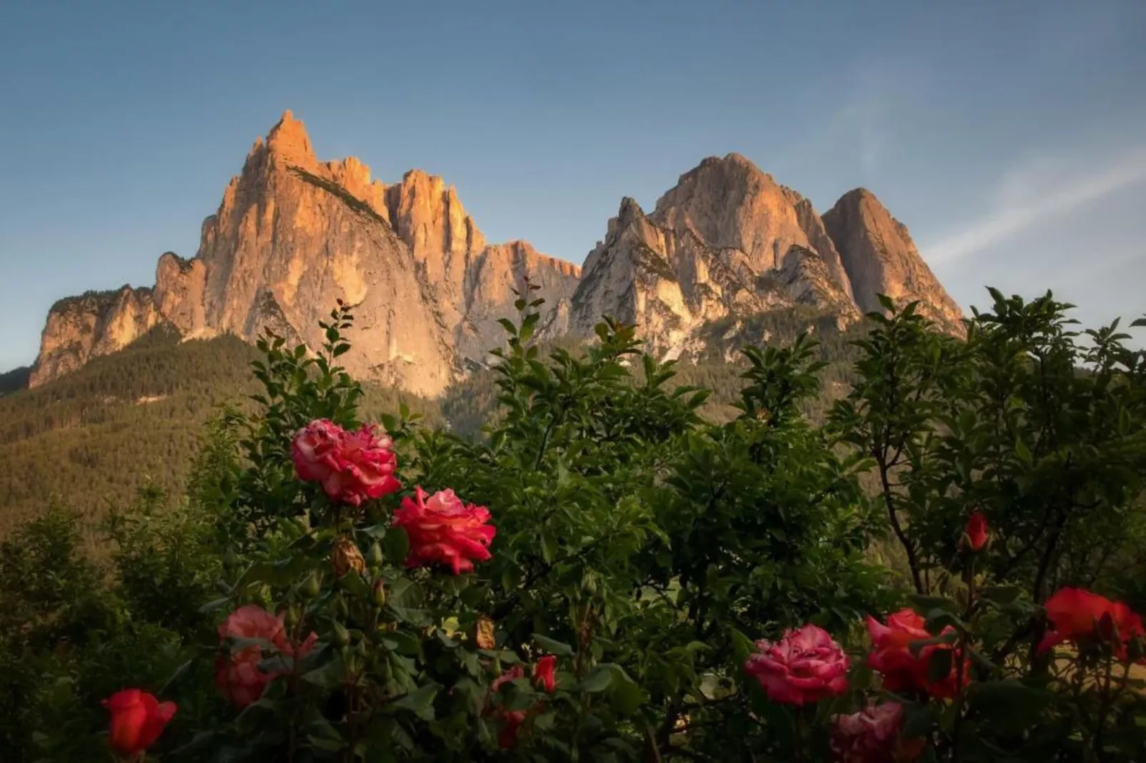 La Paula Apartments & Suites 4-pers-Gebieden zomer 20km