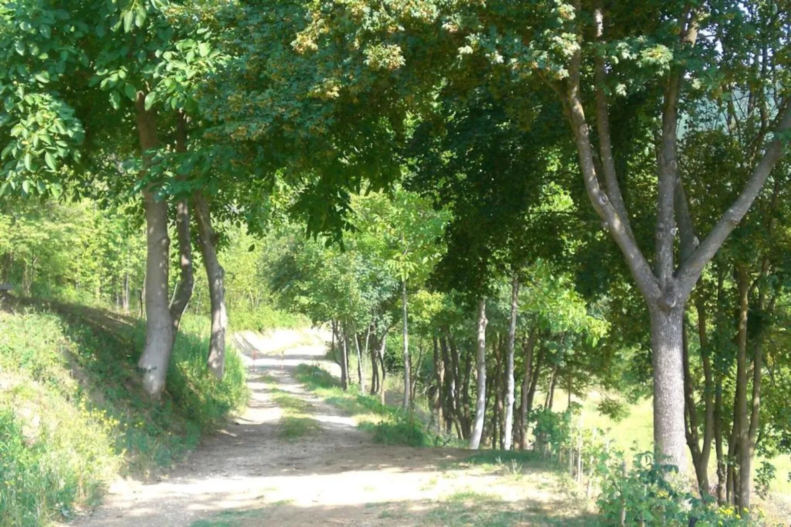 Ovello-Gebieden zomer 20km