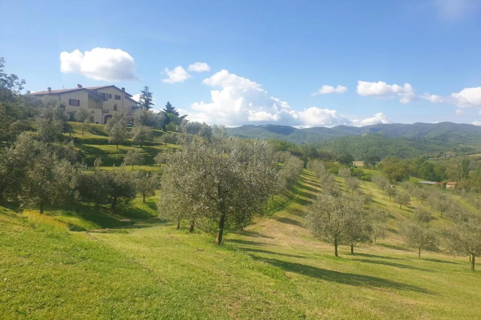 Country Resort Il Frassine-Gebieden zomer 20km