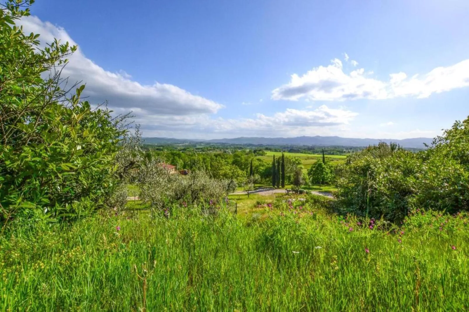 Podere Pulicciano Orciaia-Gebieden zomer 5km