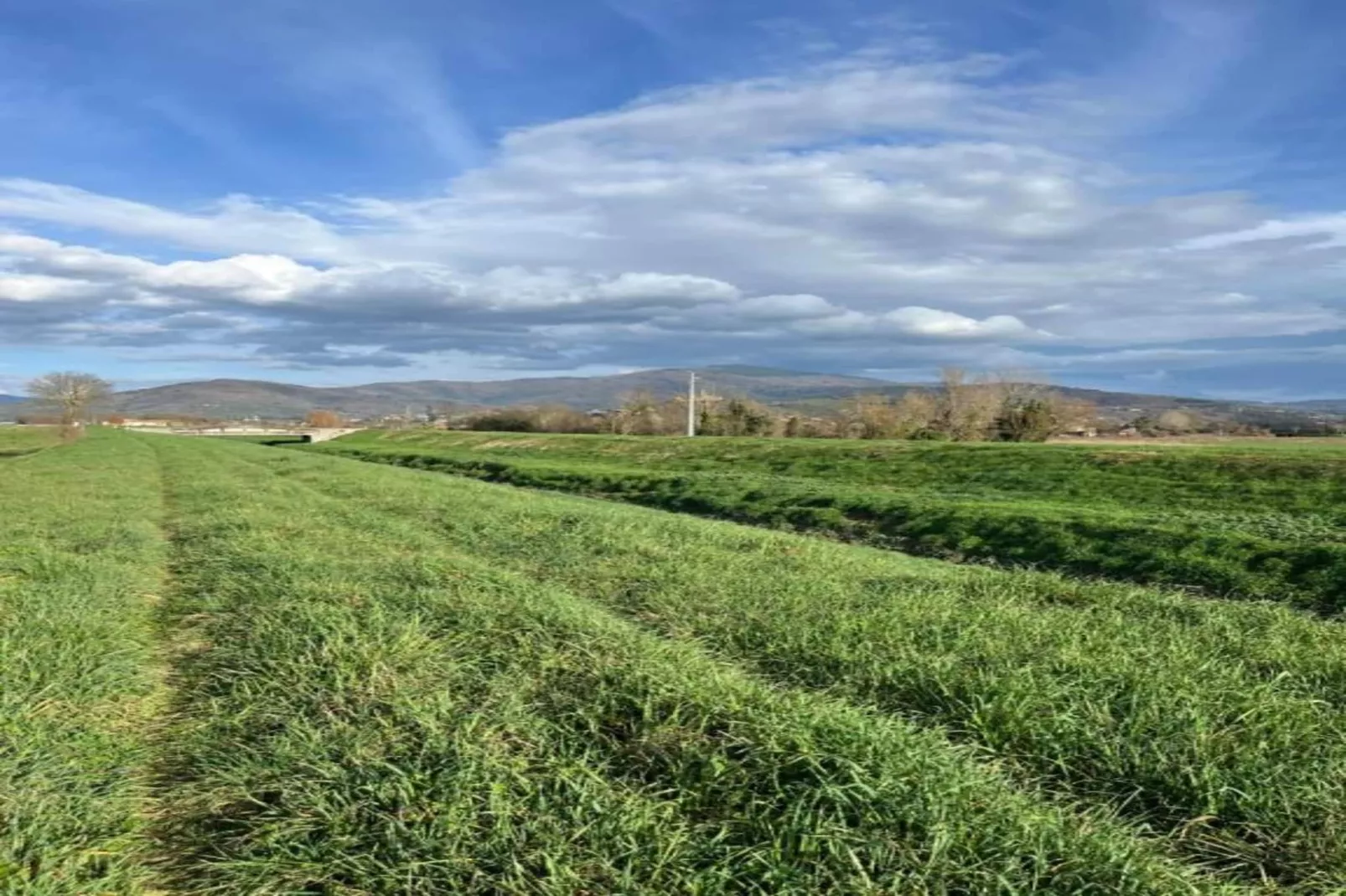 Orchidea-Gebieden zomer 20km