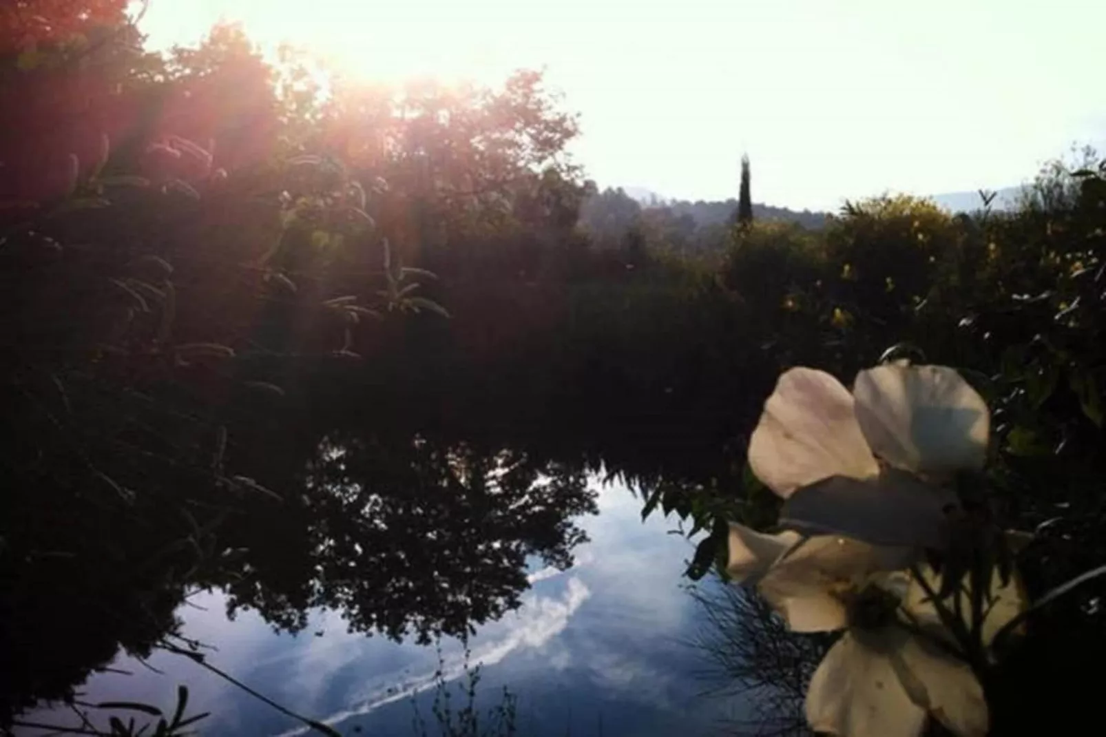 Villino Uno-Gebieden zomer 20km