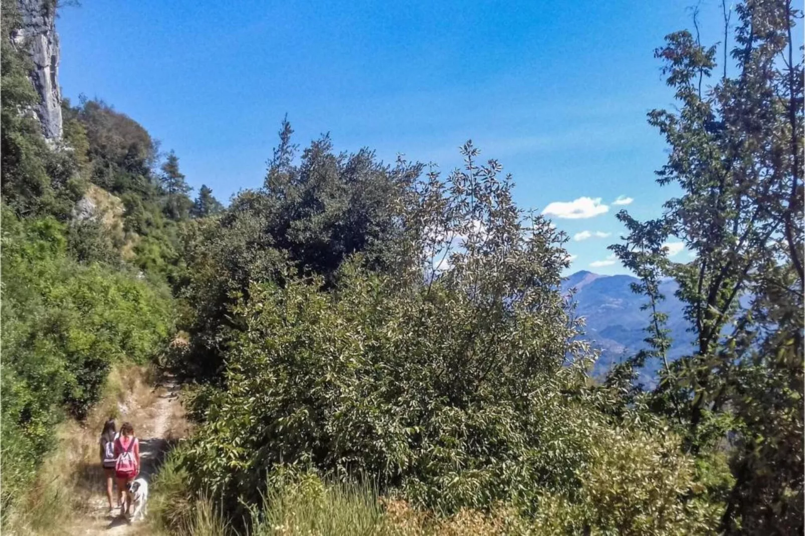 Cipressa-Gebieden zomer 20km