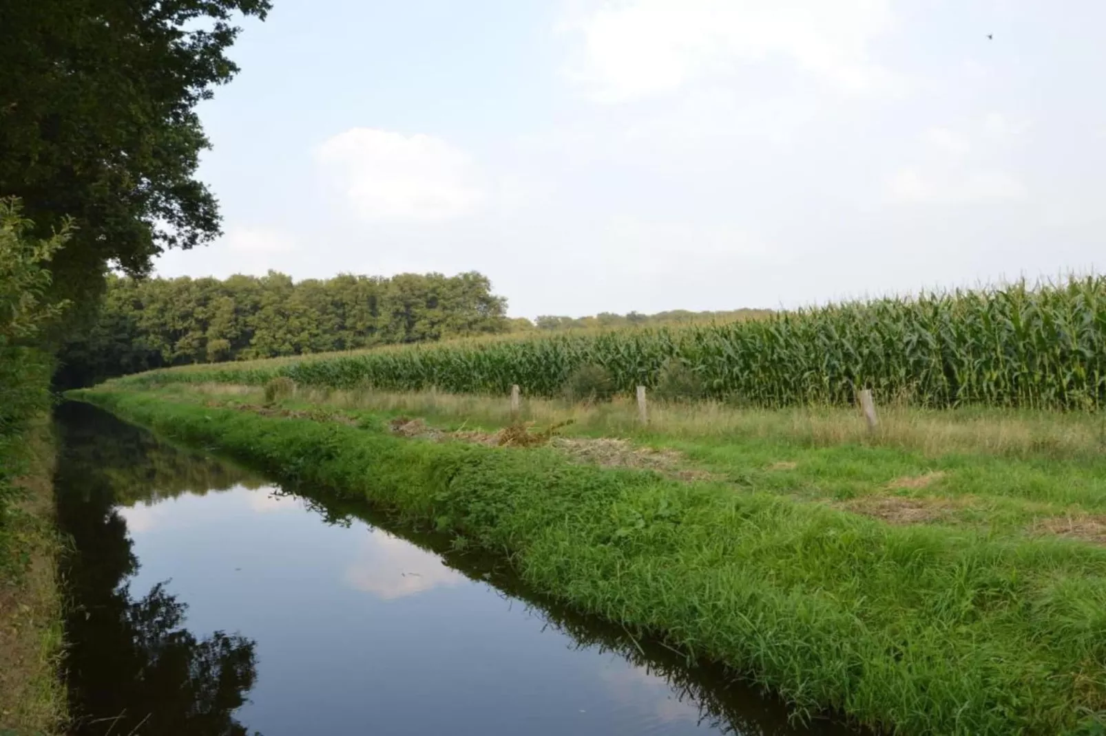 Erve Tank-Gebieden zomer 20km