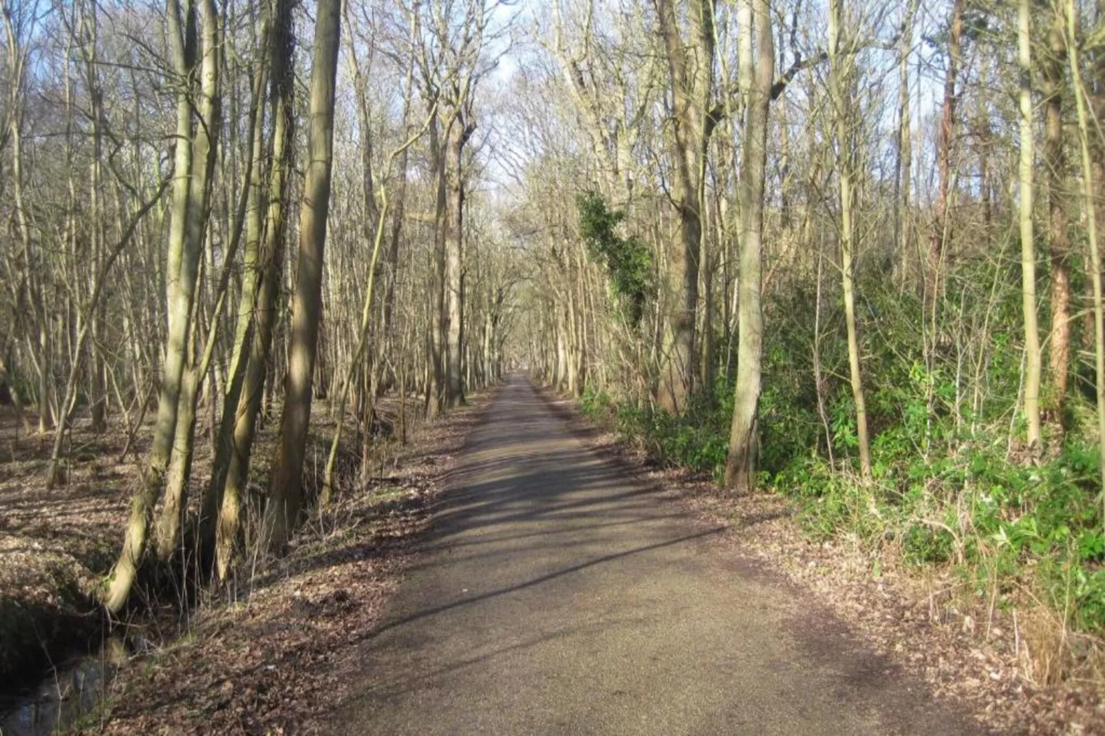Ferienwohnung Oostkapelle Zeeland M53-Gebieden zomer 20km