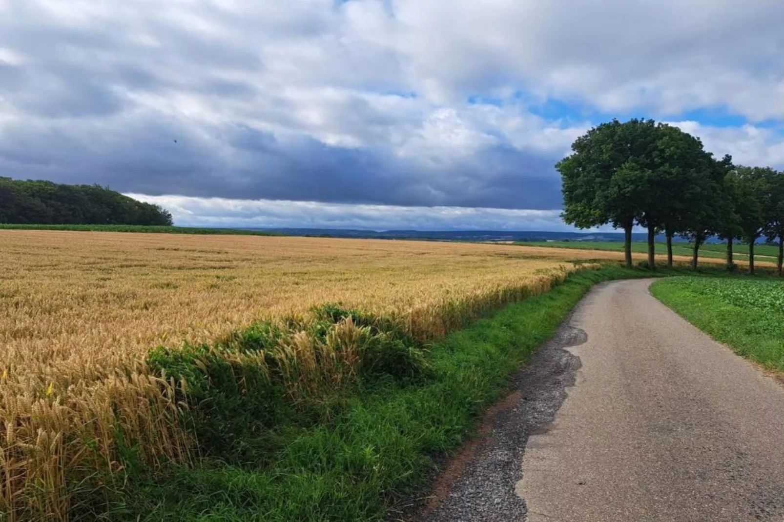 Herenhoeve de Bockhof-Gebieden zomer 20km