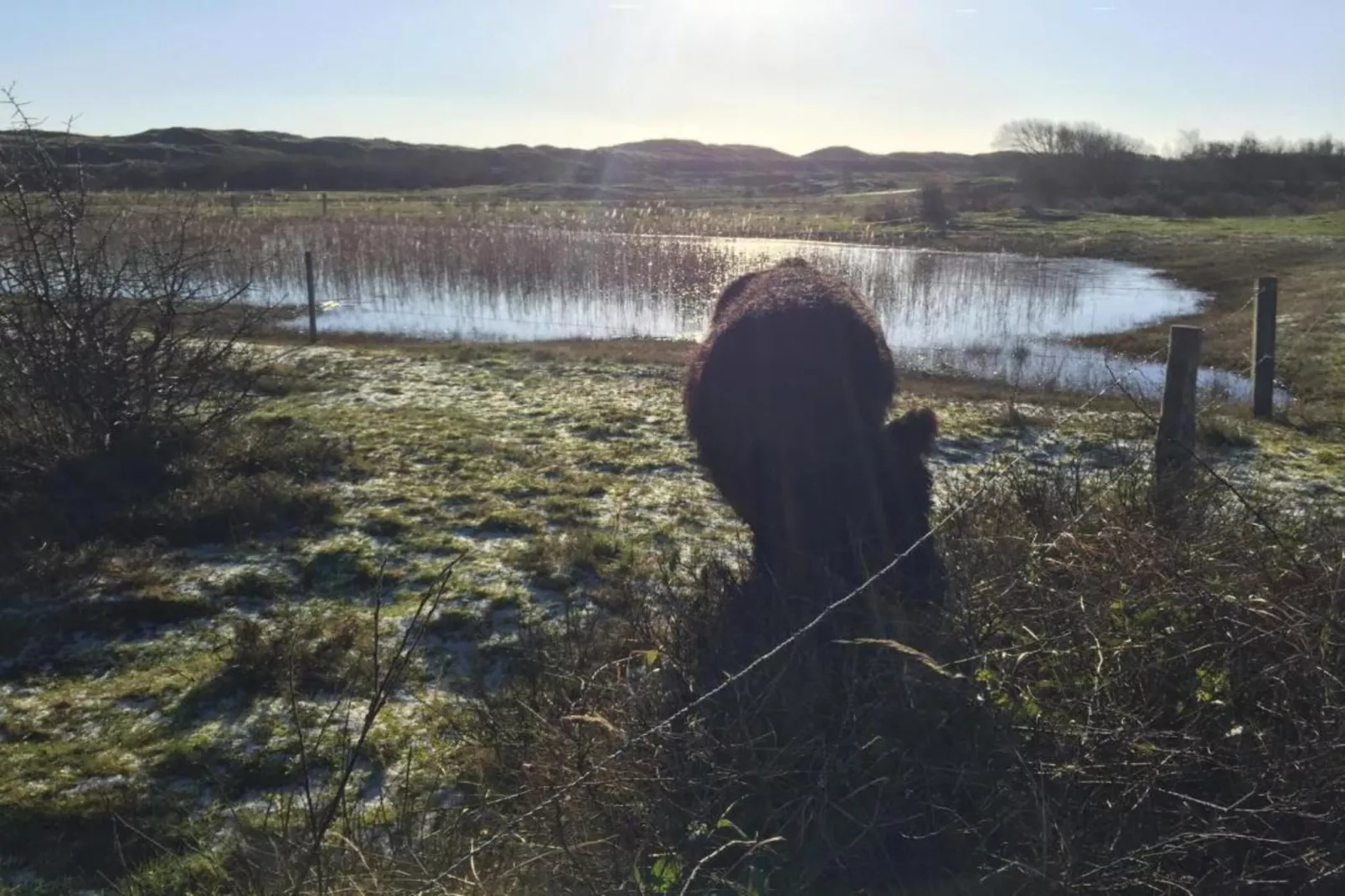 Kustpark Texel 6-Gebieden zomer 20km