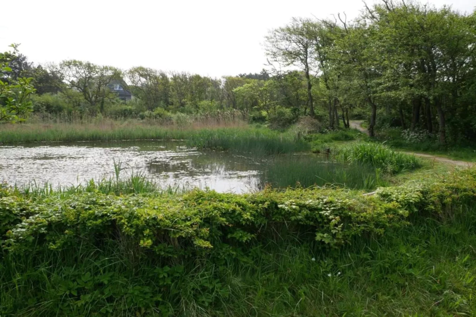 Huize Glory Topaas-Gebieden zomer 20km
