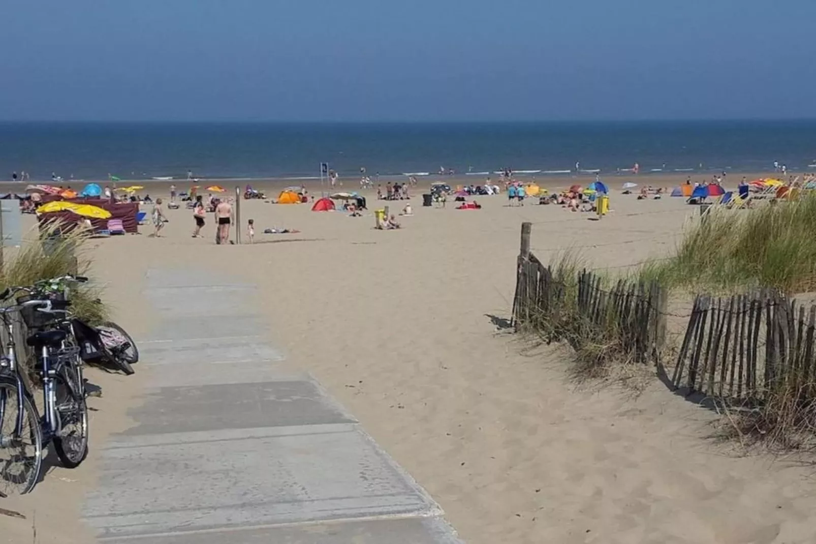 Bos-Lodge-Gebieden zomer 20km