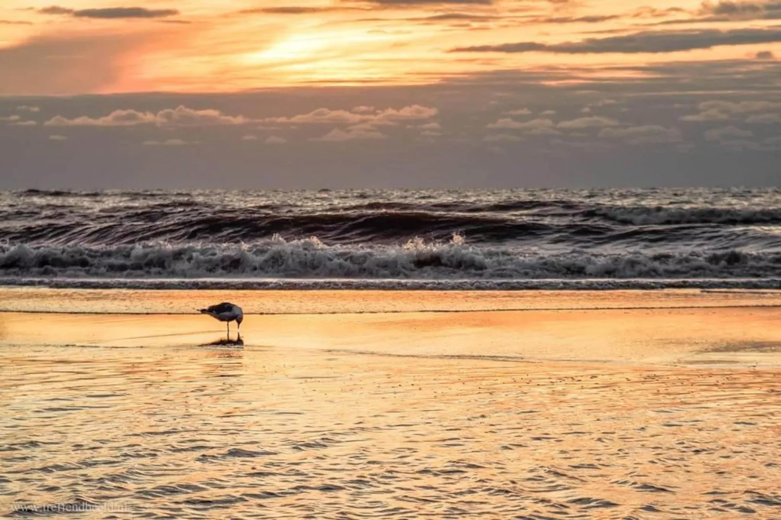 Beaudune-Gebieden zomer 20km