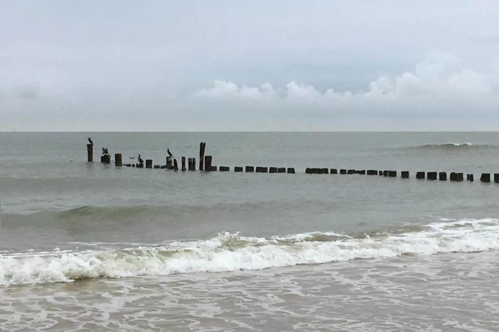 De Schone Leij-Gebieden zomer 20km