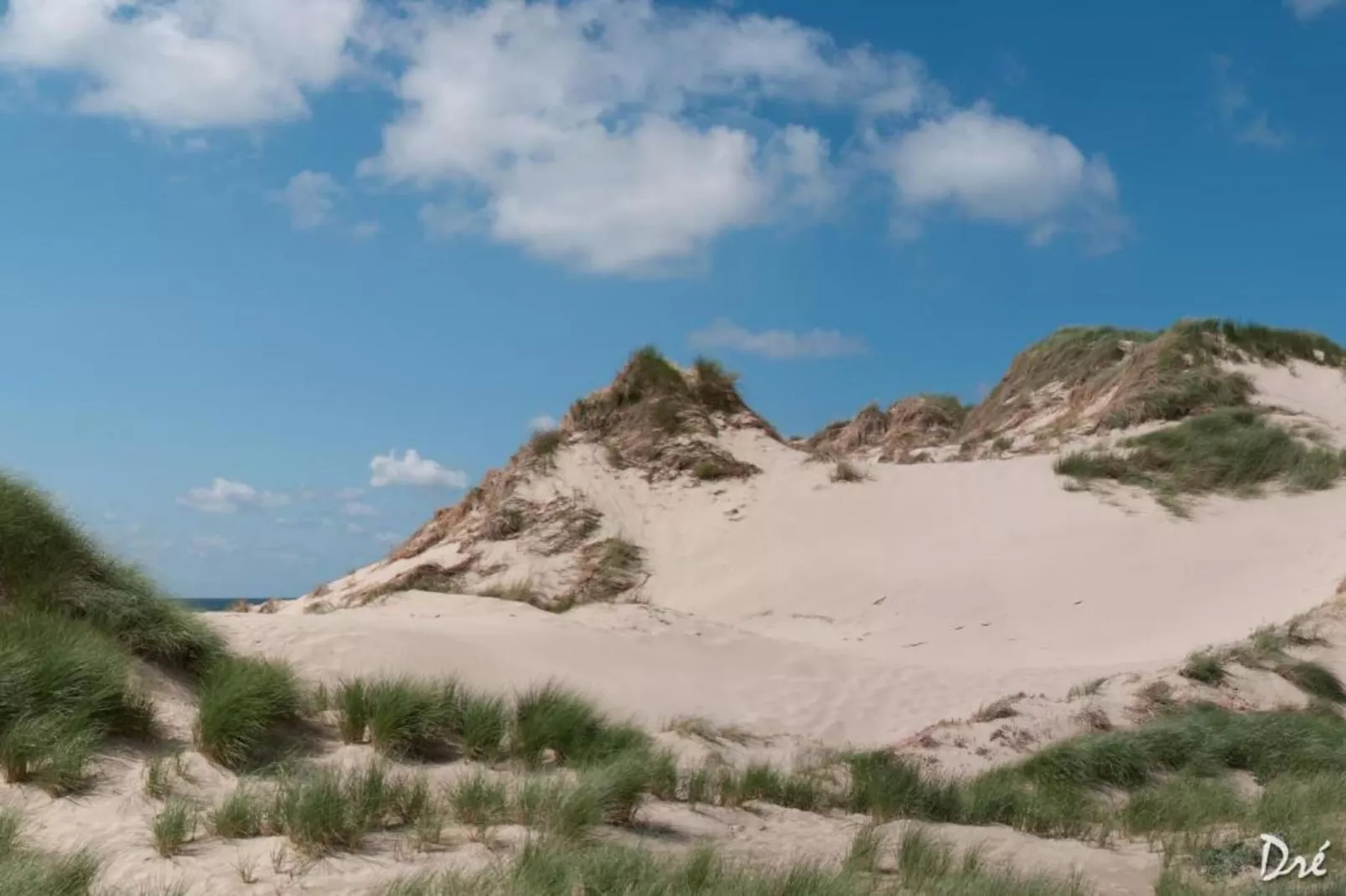 Helmgras I-Gebieden zomer 20km