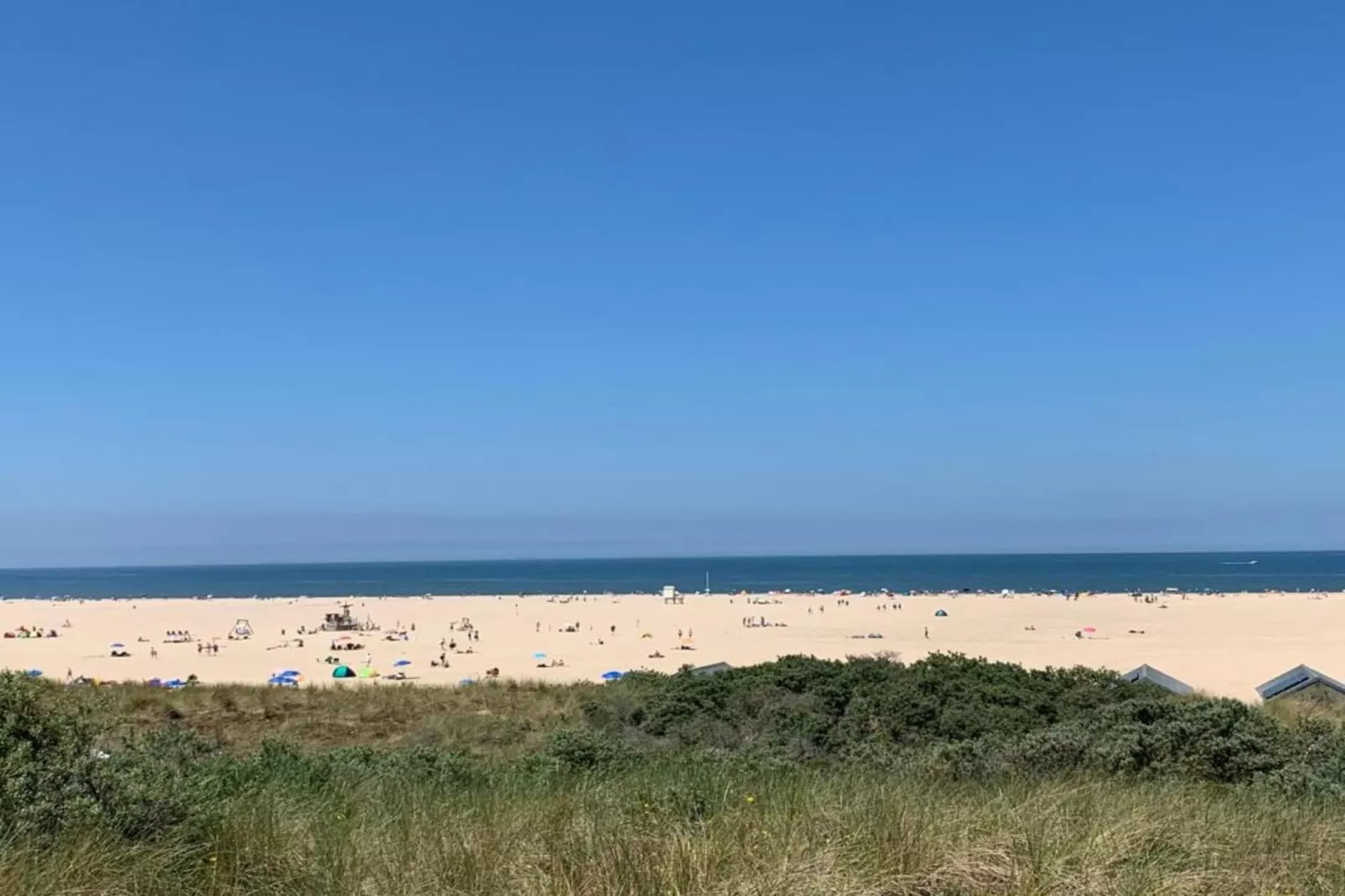 Vroondijk 2- Zeepeertje-Gebieden zomer 20km