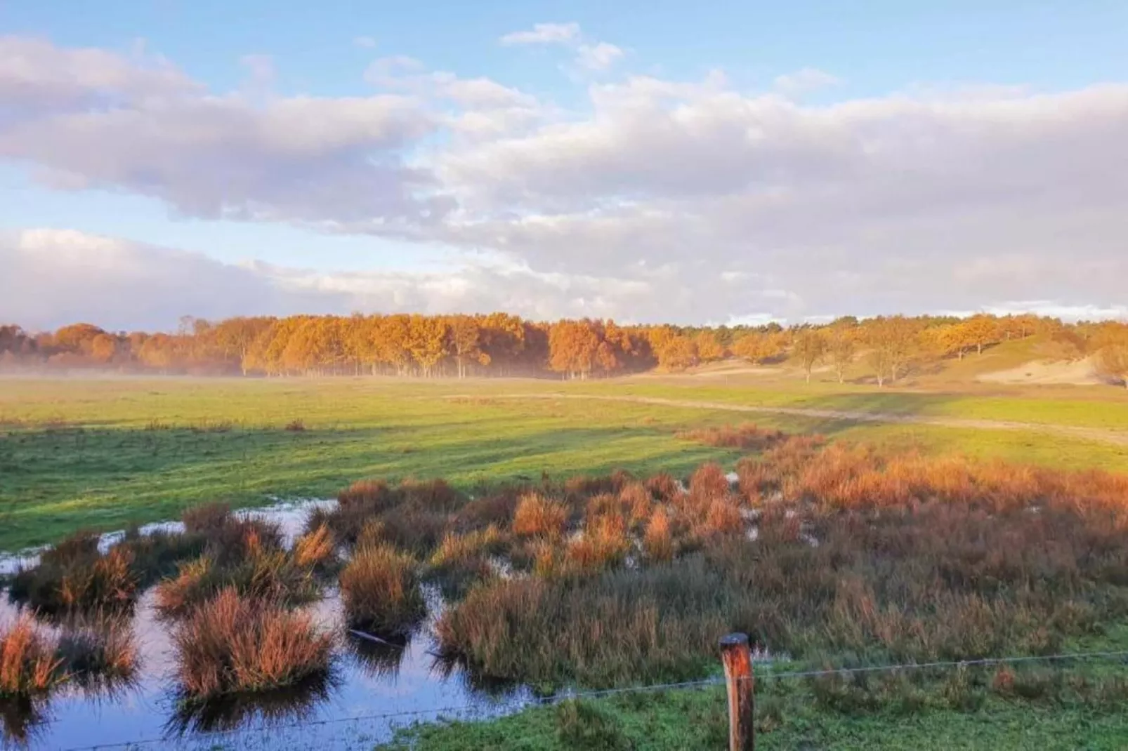 Vakantiepark Hof Domburg 23-Gebieden zomer 20km