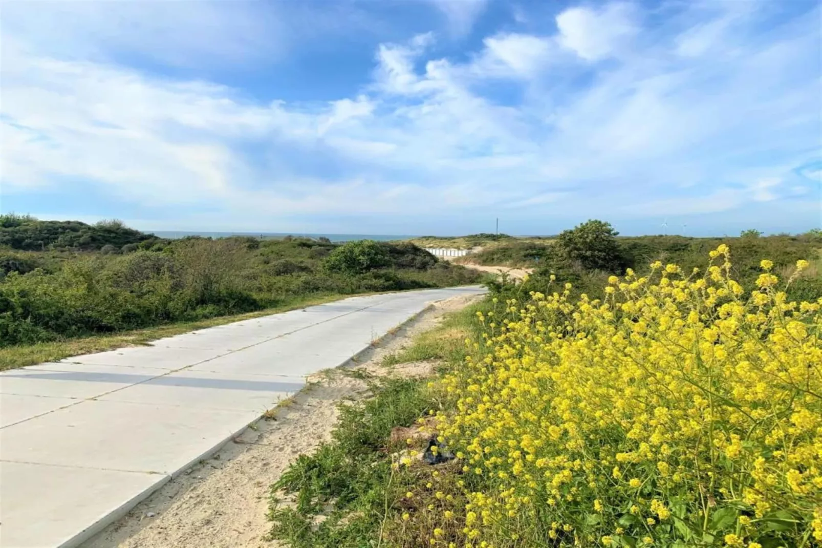 Vakantiepark Beach Resort 23-Gebieden zomer 20km