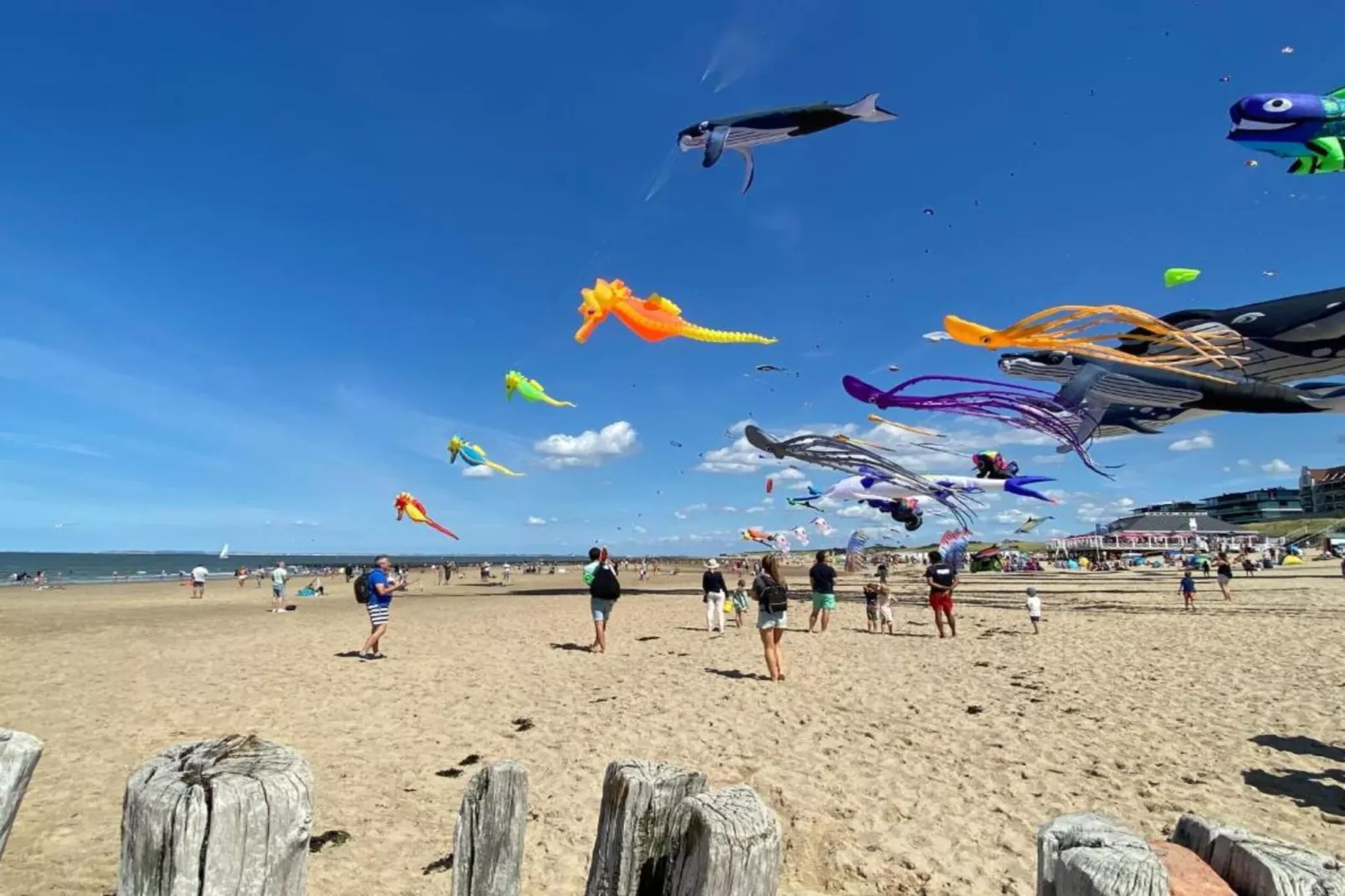 Beach Resort Nieuwvliet-Bad 12-Gebieden zomer 20km