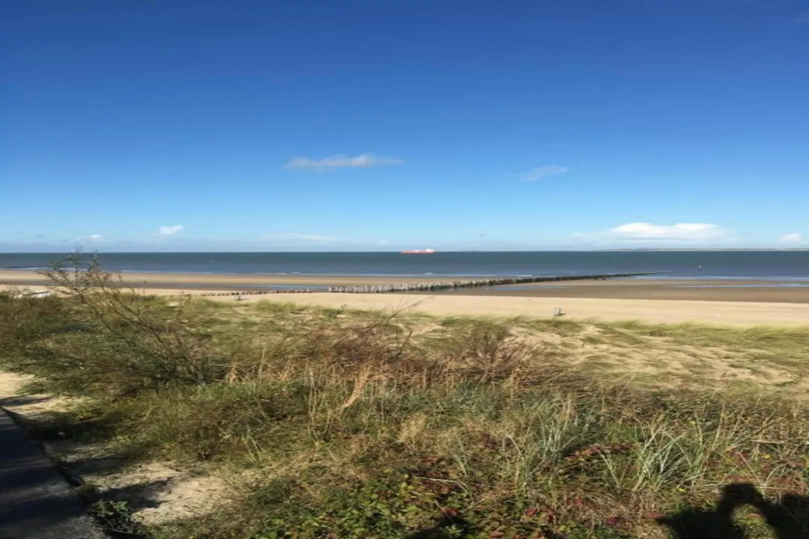 Krokus 18-Gebieden zomer 20km