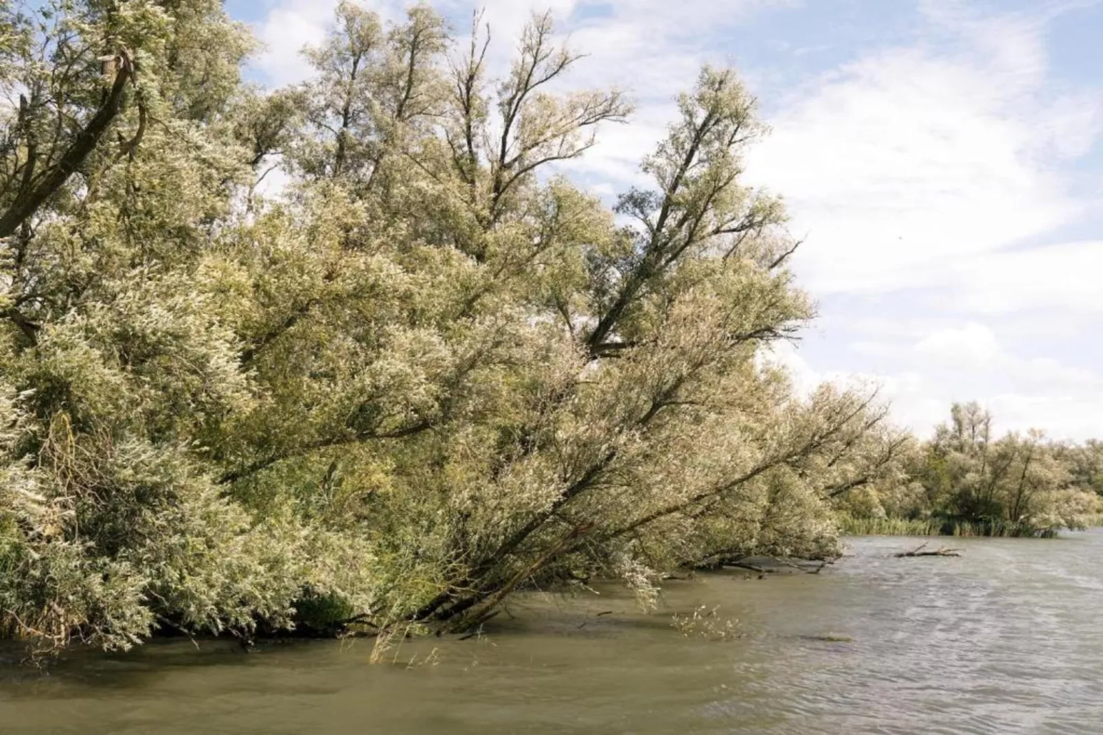 Vakantiepark de Katjeskelder 10-Gebieden zomer 5km