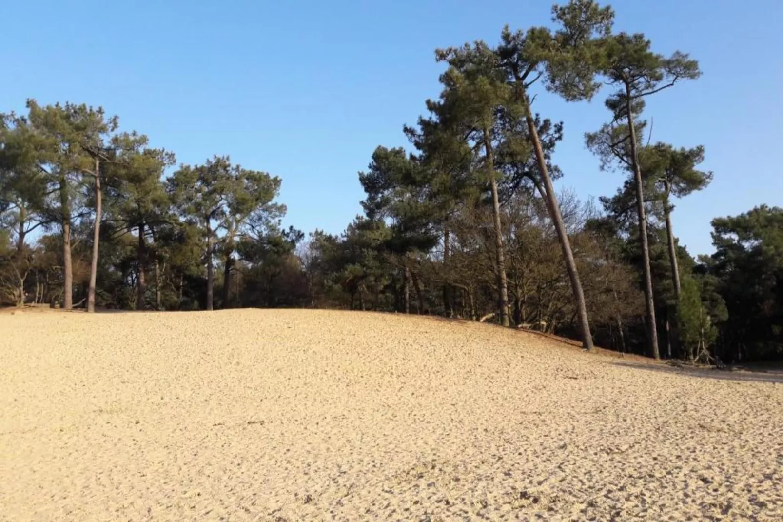 Recreatiepark Duinhoeve 1-Gebieden zomer 20km
